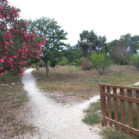 Studio Proche De Perpignan Peyrestortes Ngoại thất bức ảnh