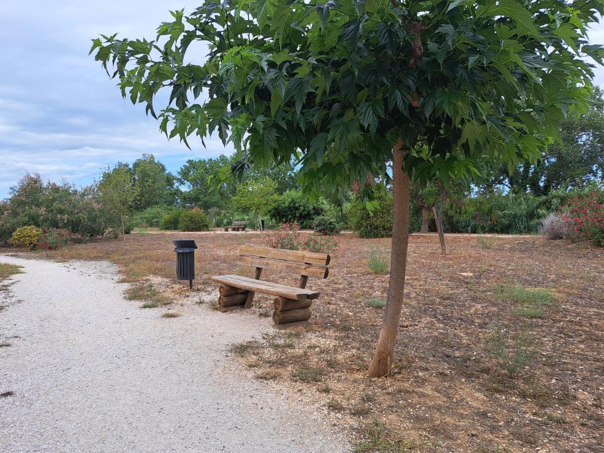 Studio Proche De Perpignan Peyrestortes Ngoại thất bức ảnh